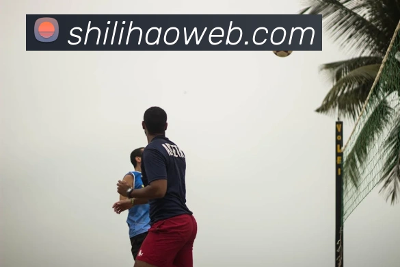 奖项证书